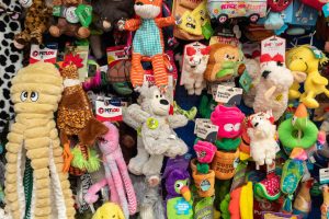 Pet Haus A photo of dog toys hanging on a wall.