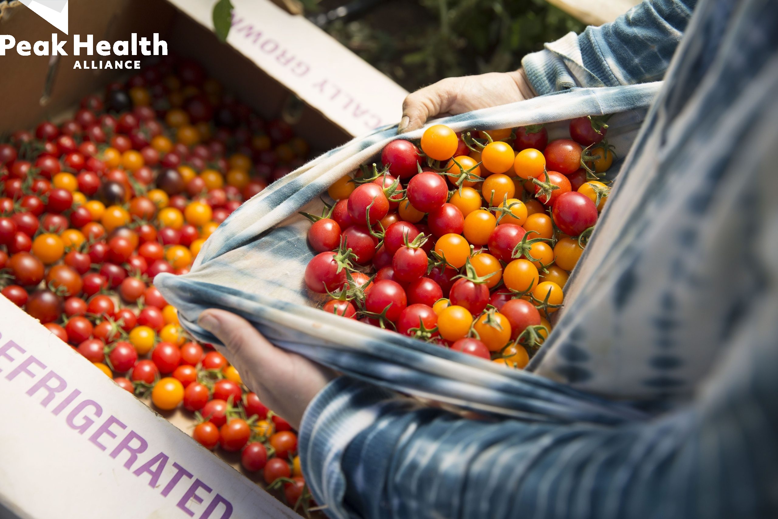 CREATOR: gd-jpeg v1.0 (using IJG JPEG v80), quality = 82 Farmers Market